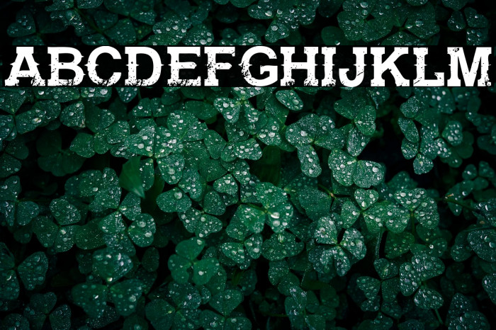 Gunfighter Academy Regular Example 3