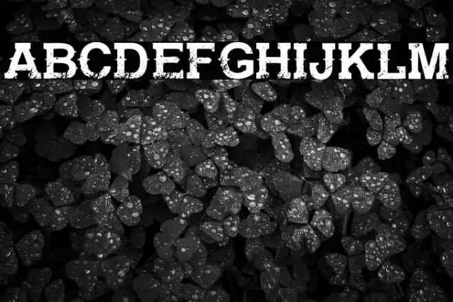 Gunfighter Academy Regular Font examples