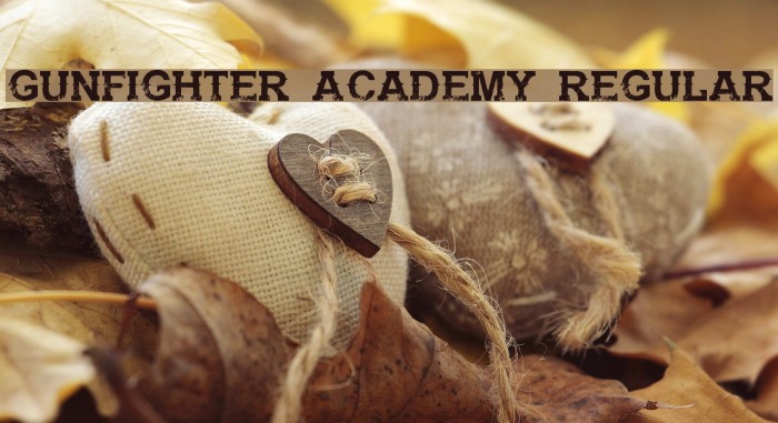 Gunfighter Academy Regular Font examples