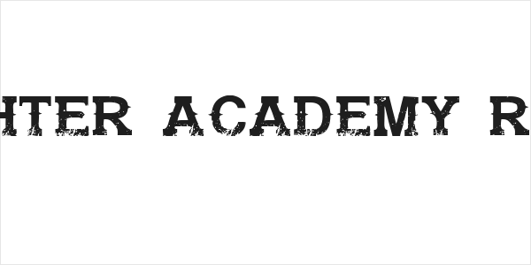 Gunfighter Academy Regular Logo