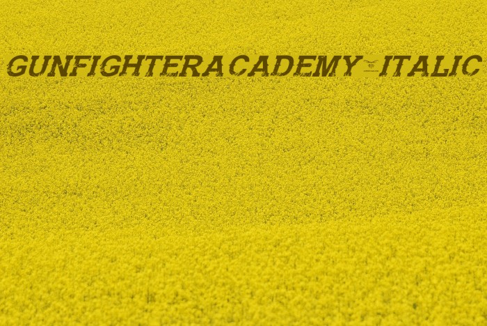 GunfighterAcademy-Italic Example 1