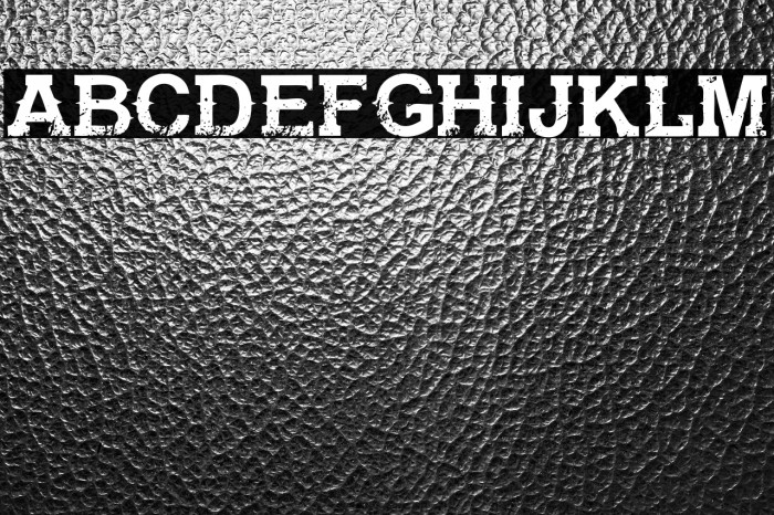 GunfighterAcademy-Regular Example 1