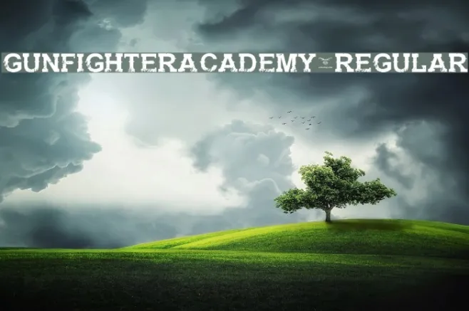 GunfighterAcademy-Regular Example 2