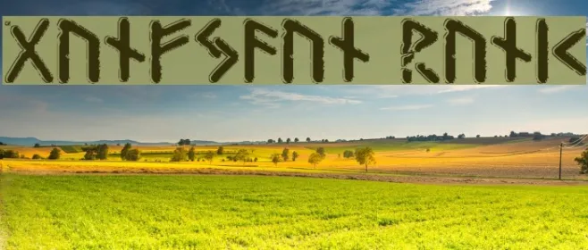 Gunfjaun Runic Example 3