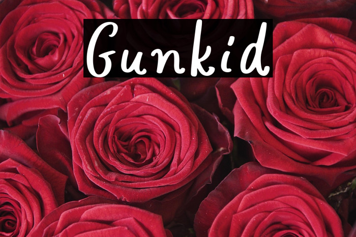 Gunkid Example 2