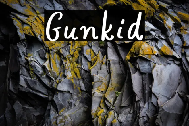 Gunkid Example 3