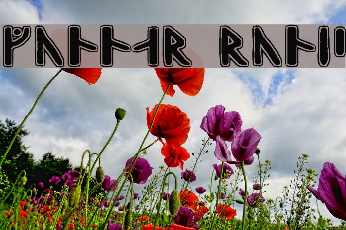 Gunnar Runic Font examples