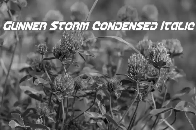 Gunner Storm Condensed Italic Font examples
