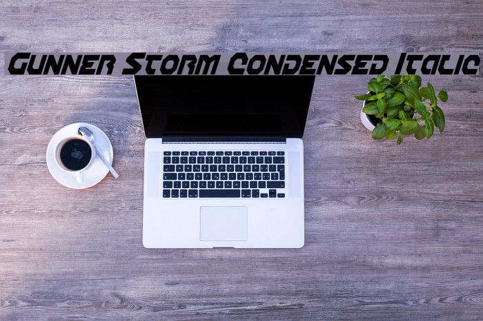 Gunner Storm Condensed Italic Example 2