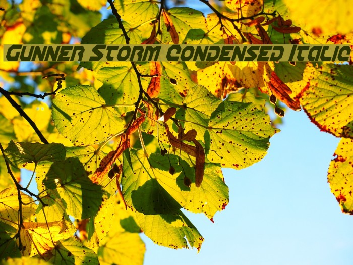 Gunner Storm Condensed Italic Example 3