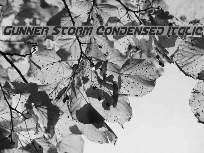 Gunner Storm Condensed Italic Font examples