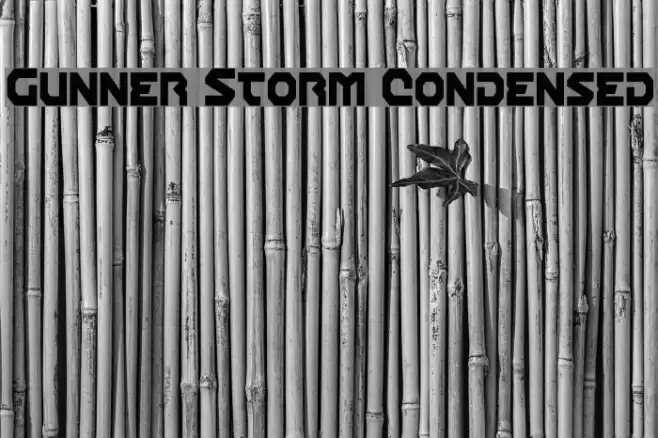 Gunner Storm Condensed Font examples