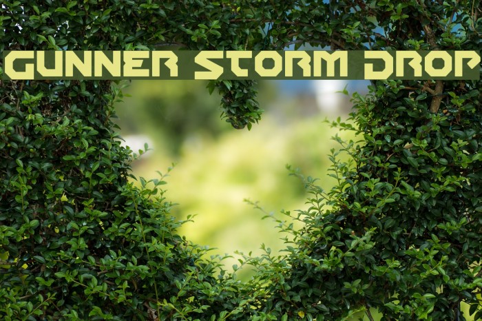 Gunner Storm Drop Font examples