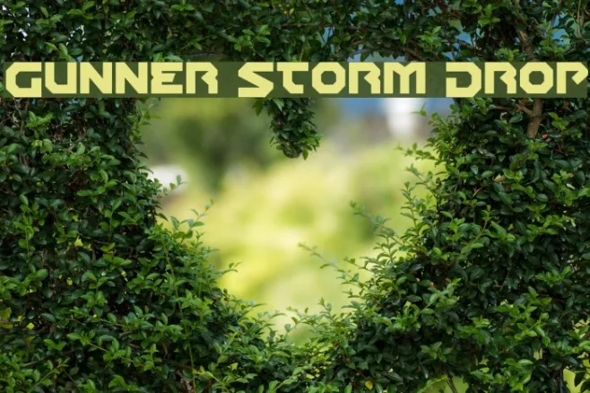 Gunner Storm Drop Example 2
