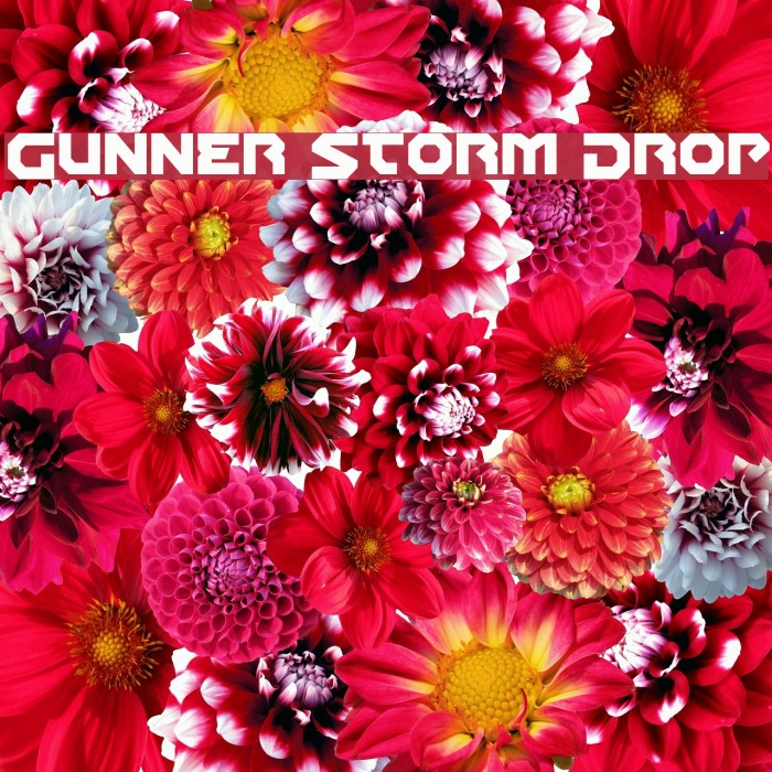 Gunner Storm Drop Font examples