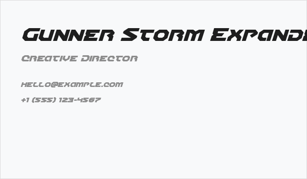 Gunner Storm Expanded Italic Business Card