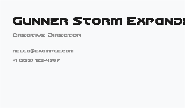 Gunner Storm Expanded Business Card