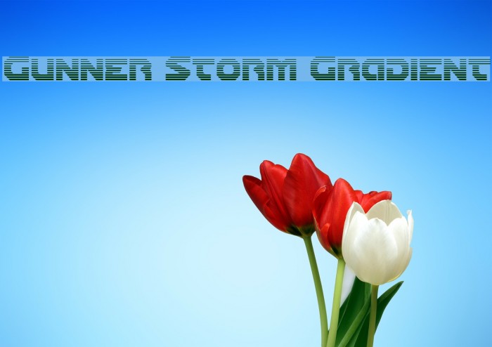 Gunner Storm Gradient Font examples