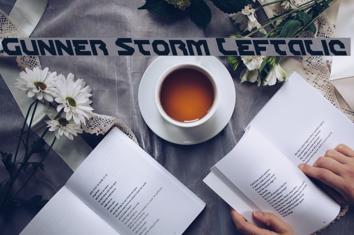 Gunner Storm Leftalic Example 2