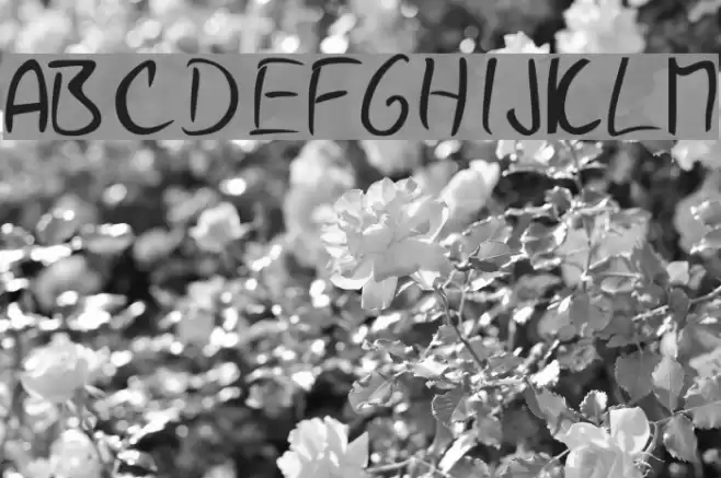 Gunny Handwriting Font examples