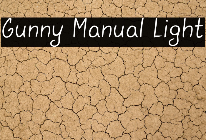 Gunny Manual Light Example 2