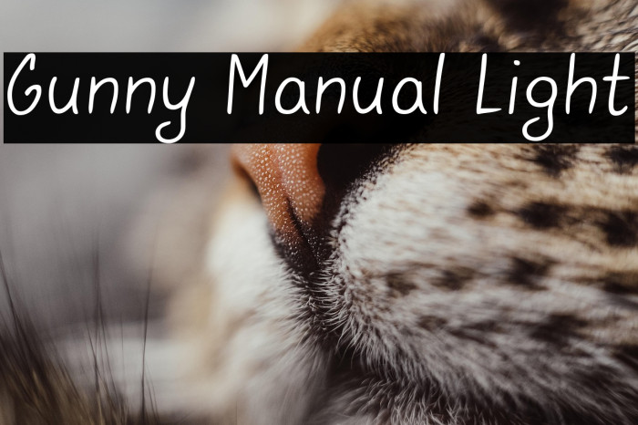 Gunny Manual Light Example 3