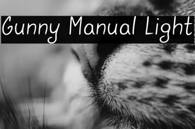 Gunny Manual Light Font examples