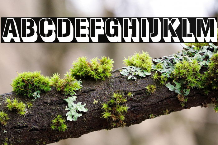 Gunplay3D-Regular Example 3