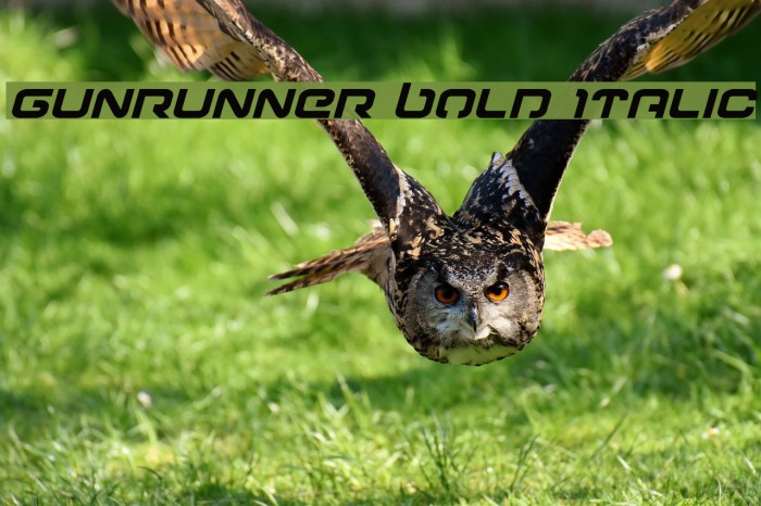 Gunrunner Bold Italic Font examples