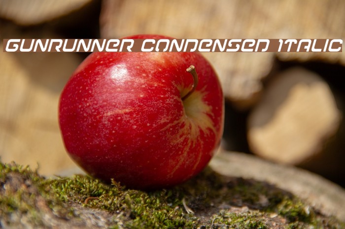 Gunrunner Condensed Italic Font examples
