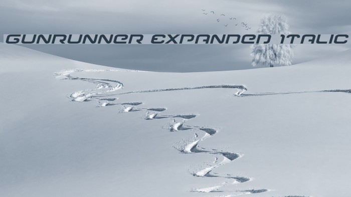 Gunrunner Expanded Italic Font examples