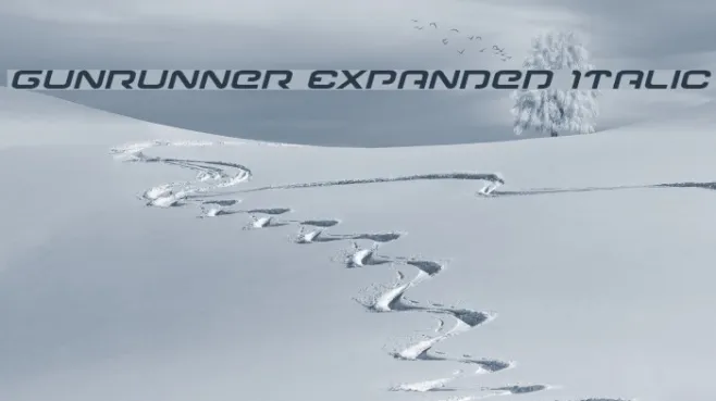 Gunrunner Expanded Italic Example 2