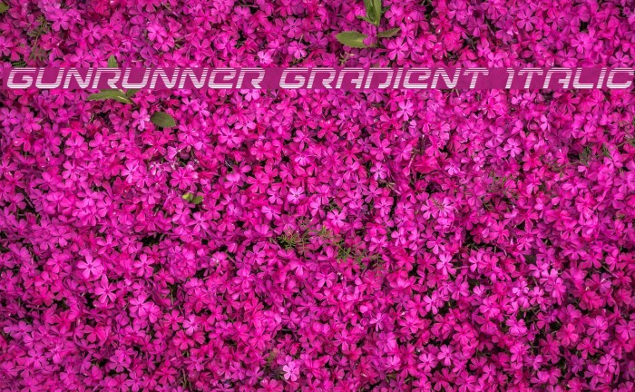 Gunrunner Gradient Italic Font examples