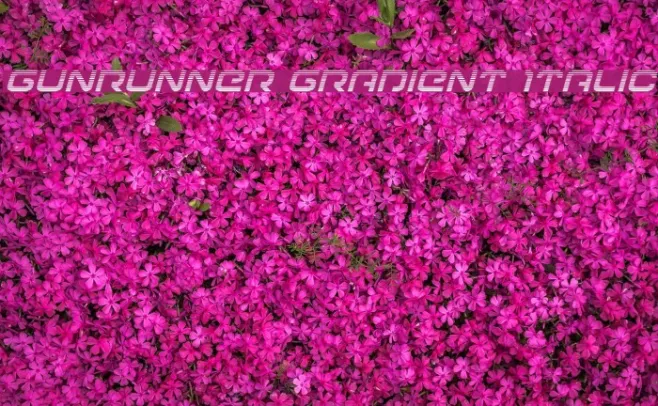 Gunrunner Gradient Italic Example 2