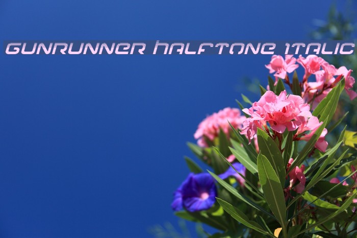 Gunrunner Halftone Italic Example 2