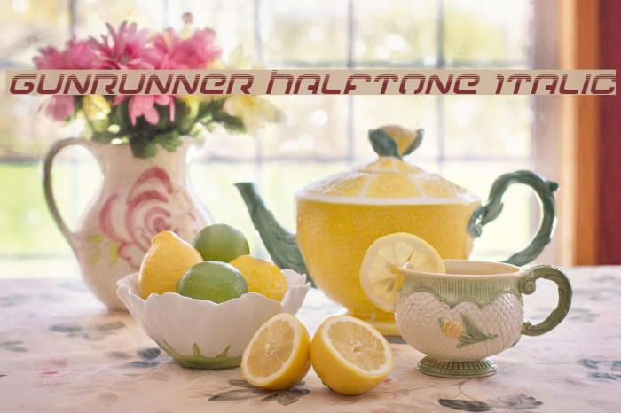 Gunrunner Halftone Italic Example 3