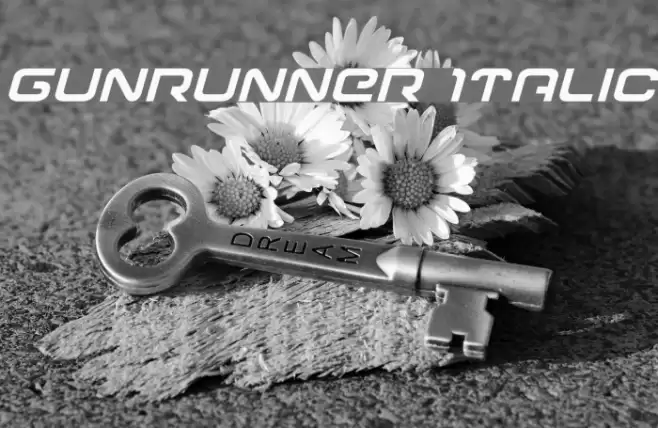 Gunrunner Italic Font examples