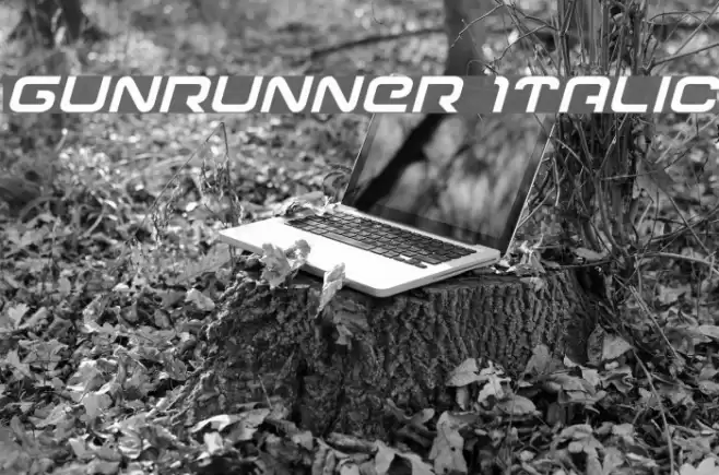 Gunrunner Italic Font examples