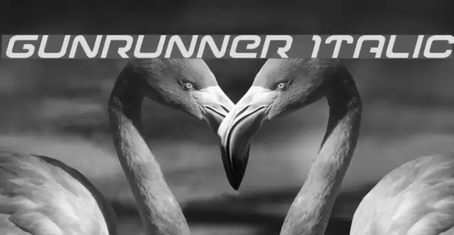 Gunrunner Italic Font examples