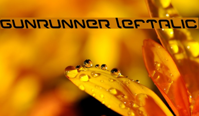 Gunrunner Leftalic Font examples