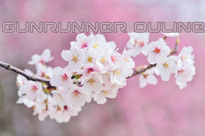 Gunrunner Ouline Font examples