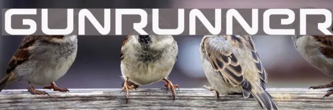 Gunrunner Example 1