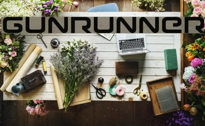 Gunrunner Example 2