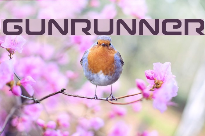 Gunrunner Font examples