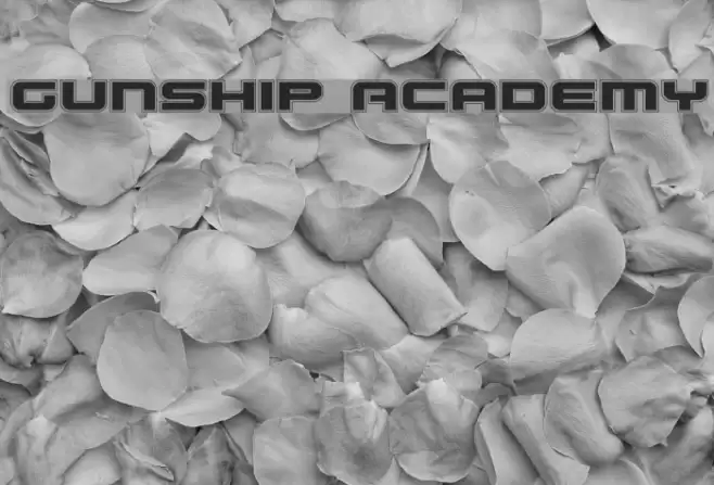 Gunship Academy Font examples