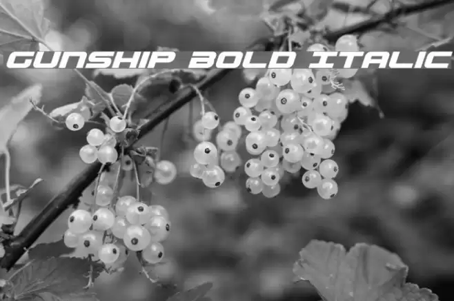 Gunship Bold Italic examples