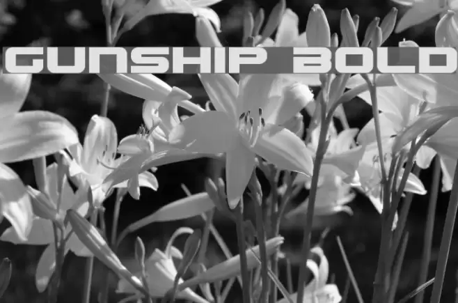 Gunship Bold Fonte examples