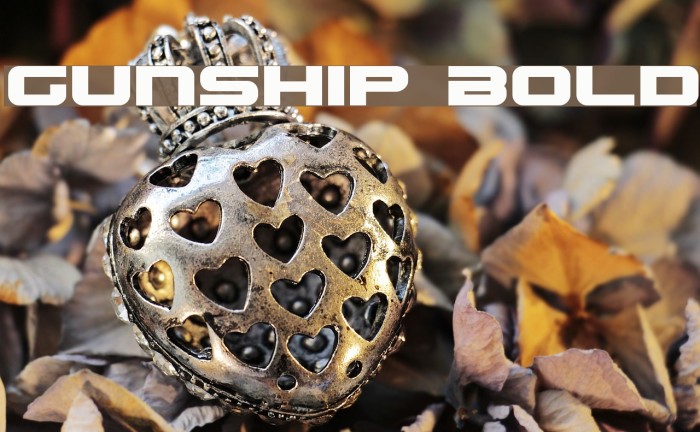 Gunship Bold Font examples