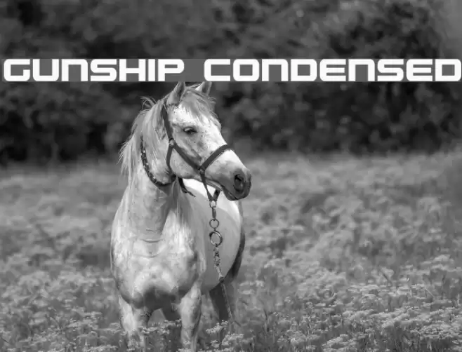 Gunship Condensed Font examples