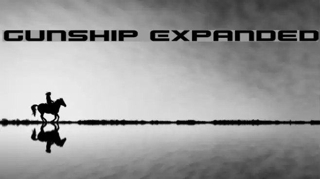 Gunship Expanded Fuentes examples
